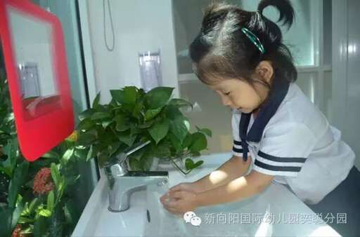 QQ圖片20170509160134.jpg QQ圖片20170509160134.jpg