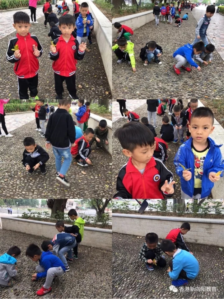 640.webp (45).jpg 640.webp (45).jpg